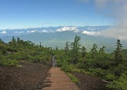 �U��Ԃ�Ɠ�A���v�X�̗Ő�