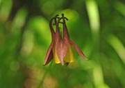 �~���}�I�_�}�L