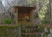 ���n���l