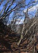 ����m��������Ĕ����H��