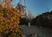 �O�h�b�P�R���ɂ�