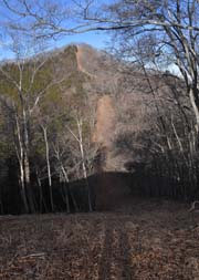 �������R