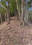 �����H�͕����₷��