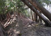 �R������̘H�𕹂���