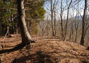 ��ڂ̃s�[�N�ŋx�~