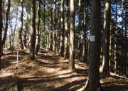 �r�m���R��ʉ�