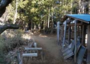 �������ɓ���