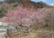 �g�~�]�؉���~��