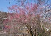 �g�~�]�V�_�~��