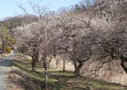 ���~�]�V�����~��