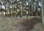 ��m���̎R��