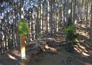 �c���H���瓰���R��