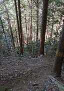 �R�����~���