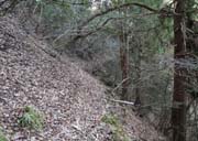 �����t�̓o�R�H�����