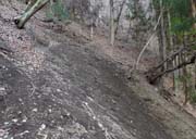 �U����ő���������