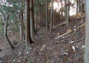 �������ɓ���