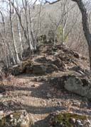 �I��тɓ���