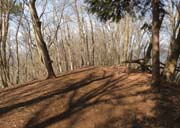 ���Ԃ̖�R�R��