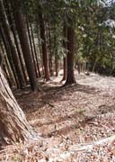 ��n���ւƍ~��