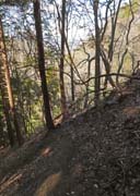 �瑫������l���Âɂނ���