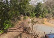 �O�a�c�n�ň�U�ԓ���