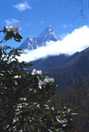 ΓԁAwi̓A}_uAma Dablam