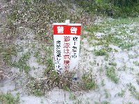 �w�u�댯�v���ĉ����f�X�J�[�b�I�x���Č��������A����������