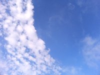 ���[�ށA���V