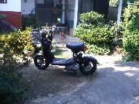 ��ʉ��̌��ɏ���ċ삯��邺�I