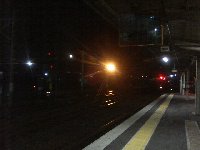 ����w�̃z�[������B�e