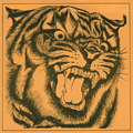 DON'T TOUCH ME THERE / TYGERS OF PAN TANG