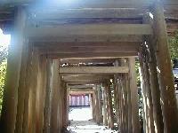 �����E�E