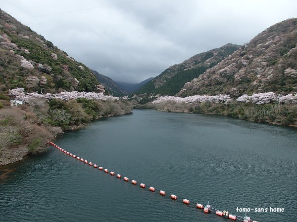 �Ԃ��~��Ĉ���ʍs�������ĉ�������(�����U���肪�Ƃ��������܂��B