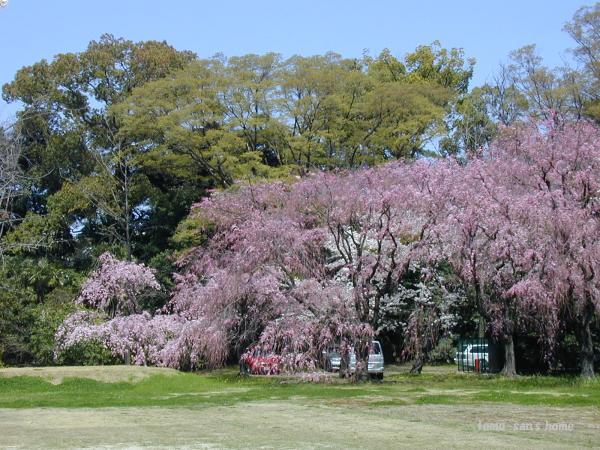 �}�������T����