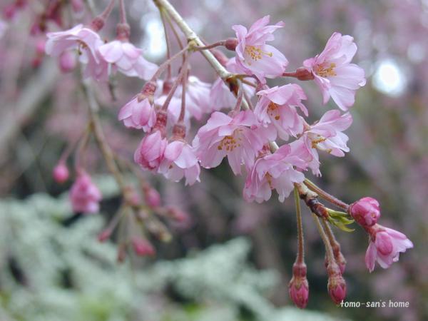 �g�}������Ɛ��v�O^=)^~