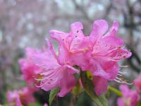 �U�P�i���j