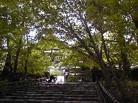 �ɗ������聁�ɗ���