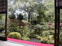 ����˂�r�i������