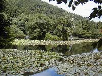 ���e�r�i���傤�悤���j