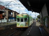 ���������w