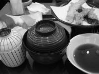 �a�H�t�@�~���X�͑O���̖�v^..^=)^~