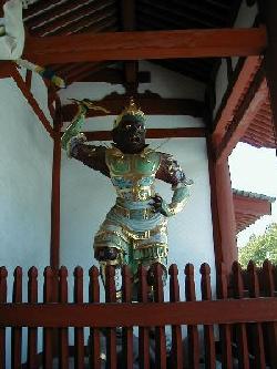 ���`�����͎m��