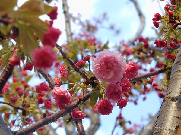 �g�؁i�������j