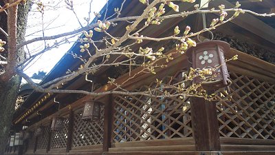 ���炭�O�O