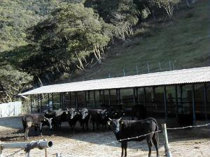 ���c�q��