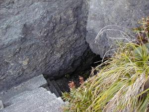 �}�O�哇�E�O�Y���A