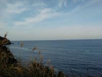 �@����Љ��Ë{�y�q��