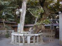 �@����ЁE�ӒË{