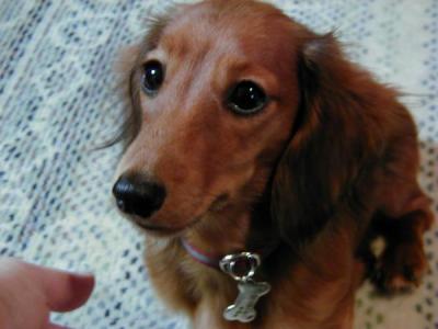 U^�F^U����