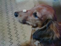 U^�F^U����